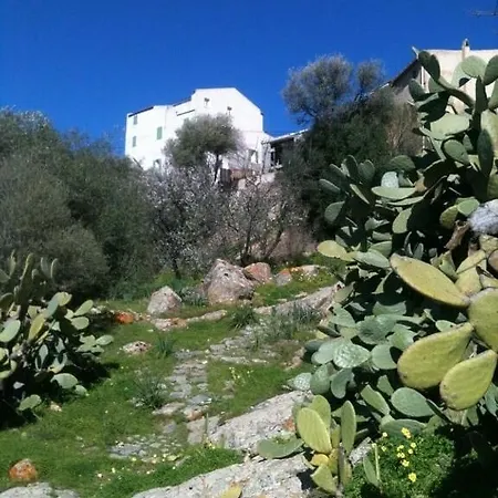 Maison De Caractere, Terrasse Tropezienne, Jacuzzi, Vue Imprenable בית נופש Aregno