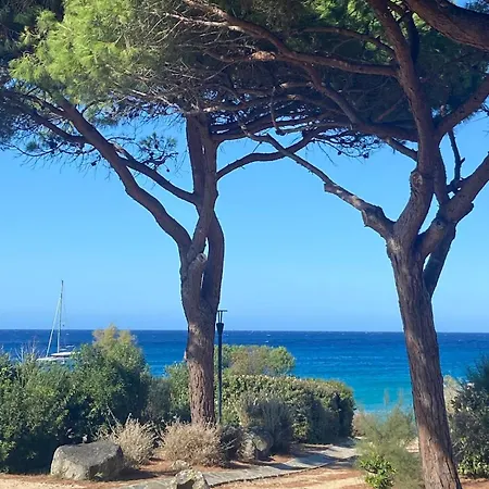 Hébergement de vacances Maison De Caractère, Terrasse Tropézienne, Jacuzzi, Vue Imprenable Aregno